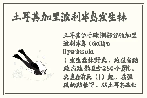 逃脱~孕妇精灵与森之馆预告片